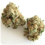 Шишки "White Widow" (Белая вдова) Гидропоника - Бошка VHQ в Челябинске Шишки "White Widow" (Белая вдова) Гидропоника - Бошка VHQ в Челябинске