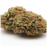 Шишки AK47  (Гидропоника, Бошка) VHQ в Челябинске